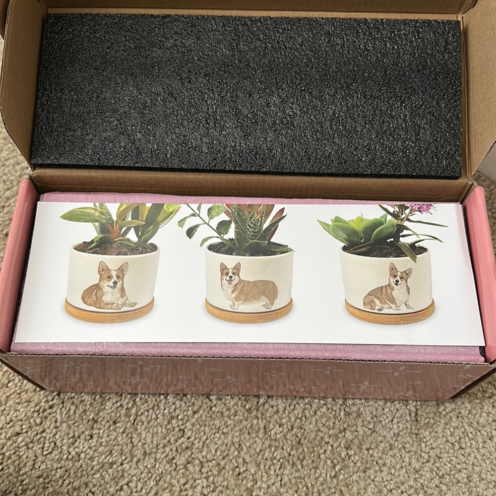 Set of 3 Corgi Planters NWT